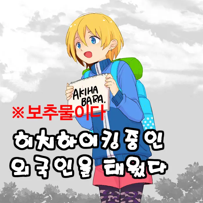 Hichihaiku Shiteta Gaijin No Seta / 히치하이킹중인 외국인을 태웠다